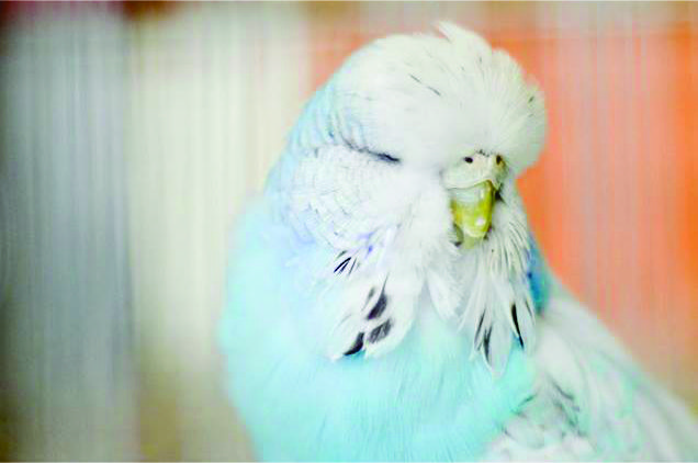 recent-project-img-10