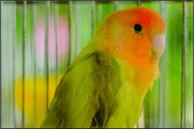 recent-project-img-11