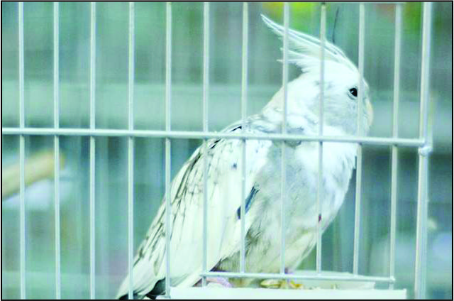 recent-project-img-12