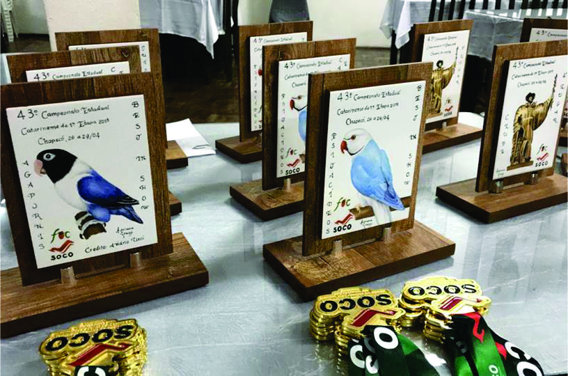 recent-project-img-3