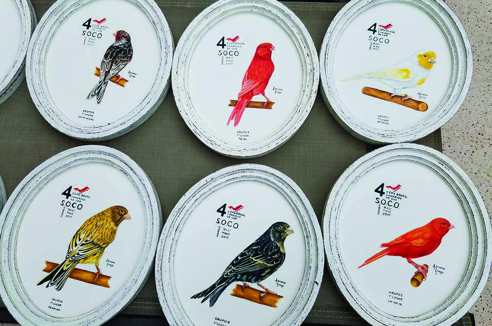 recent-project-img-4