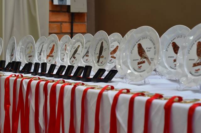 recent-project-img-5