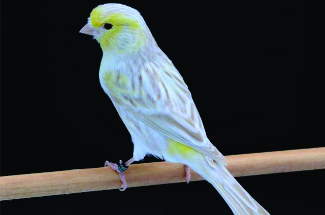 recent-project-img-6