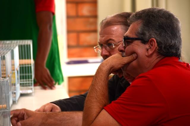 recent-project-img-7