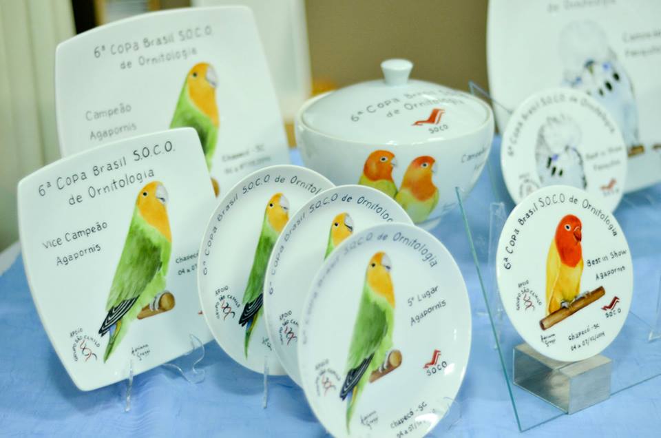 recent-project-img-8